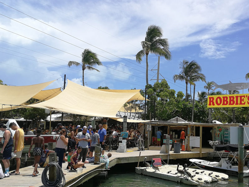 Robbie’s Marina Islamorada