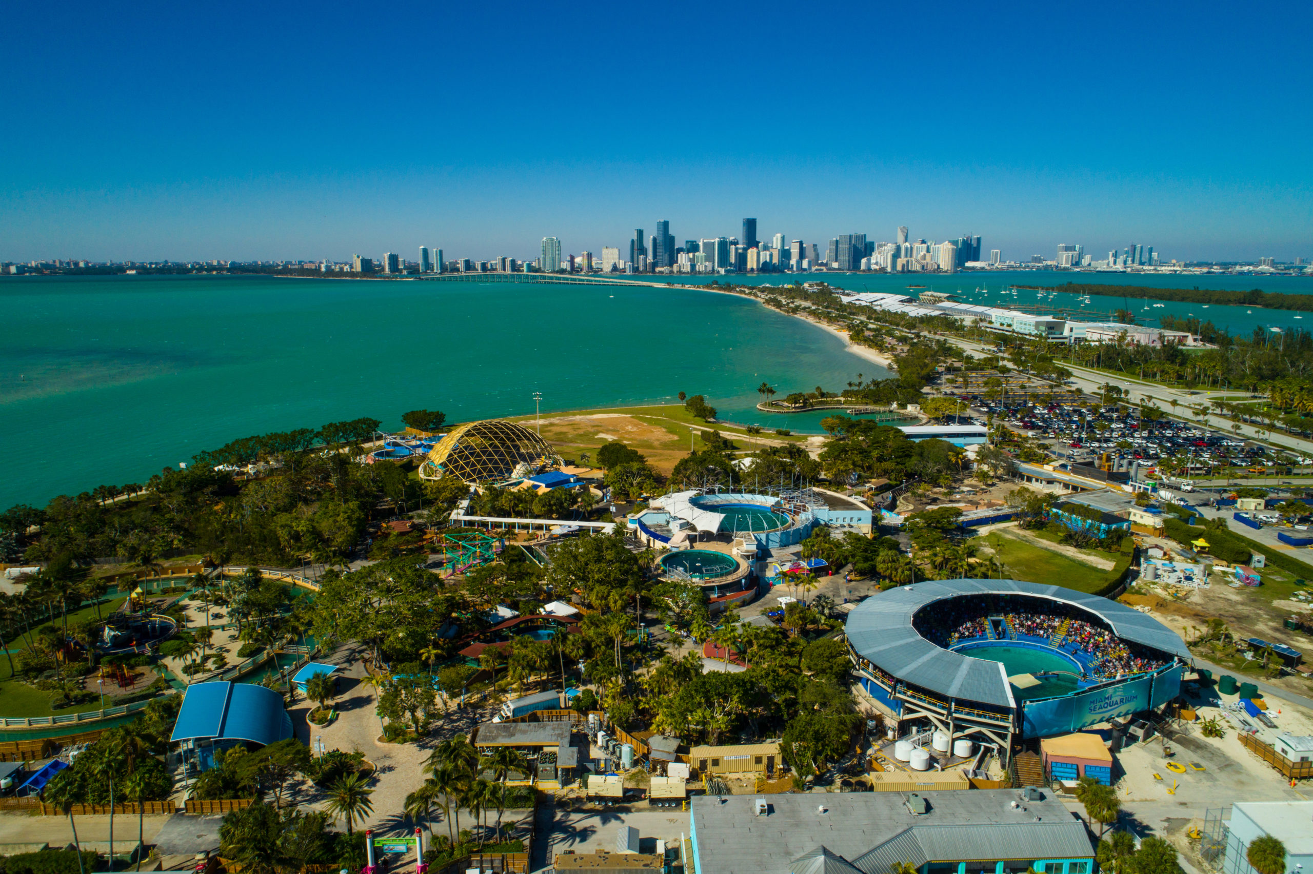 Miami: Experiencia de Nado con Delfines con Entrada al Seaquarium